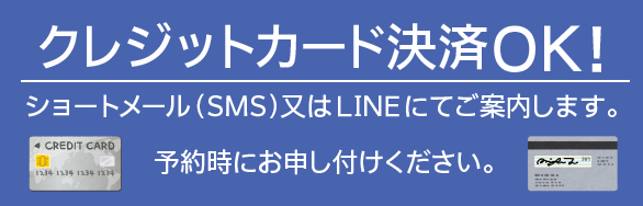 ちゃんこオフィシャルクレカ決済